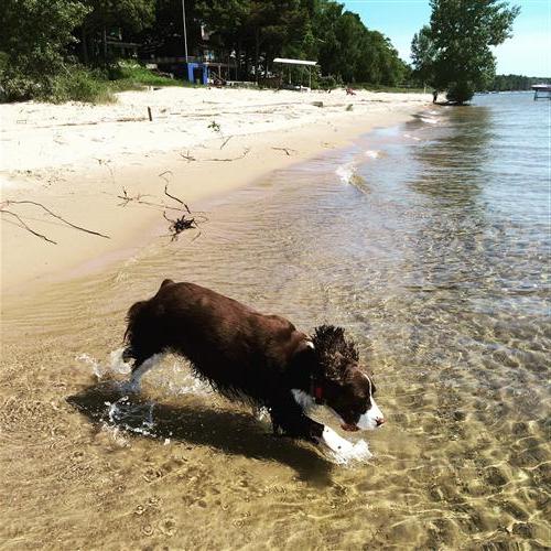 This is how we spent a lot of our summer.  Jumping IN and OUT of Lake Huron! 